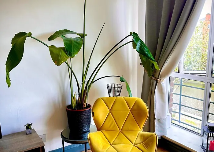 Riverview Apartment